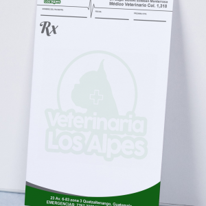 RECETAS EN PAPEL BOND dos color