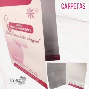 CARPETA CON PESTAÑA tamaño oficio 1 color