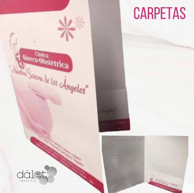 CARPETAS CON PESTAÑA tamaño carta 1 color