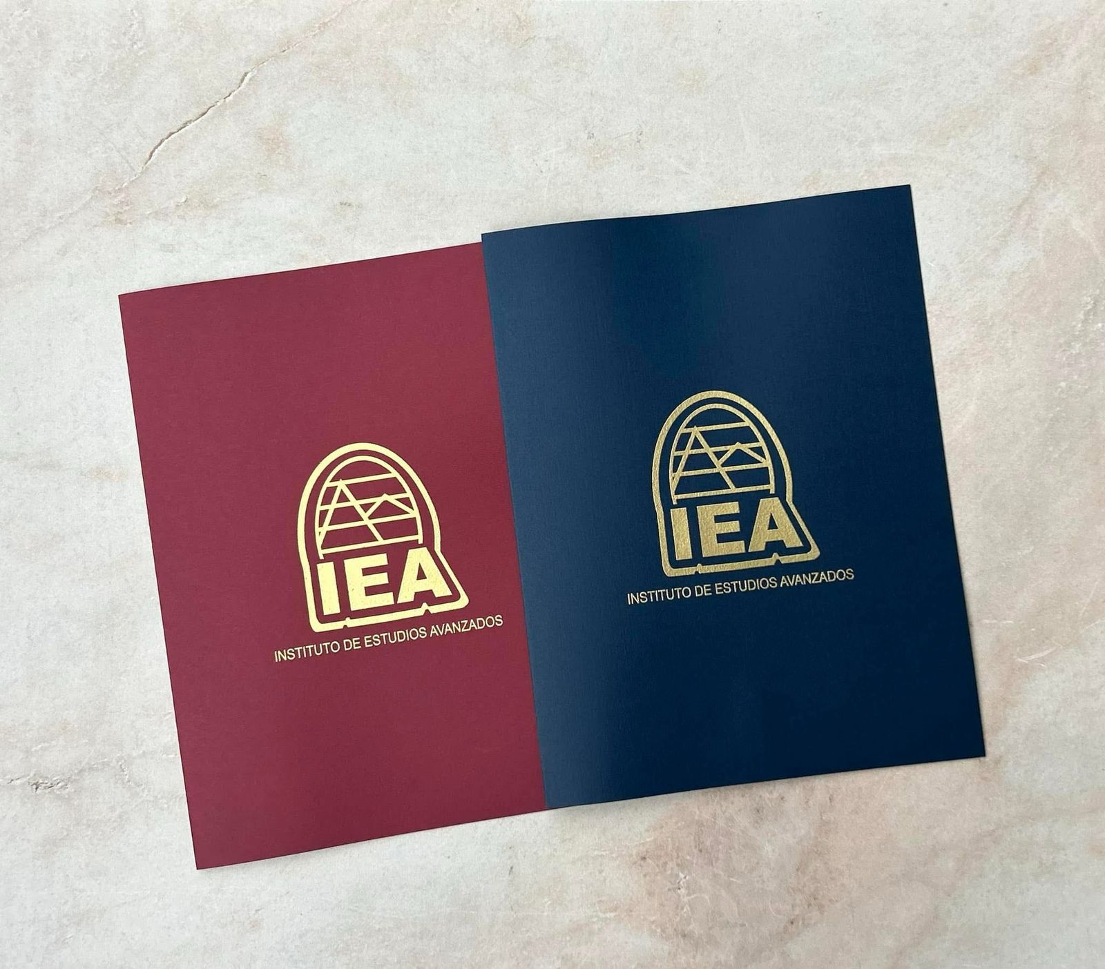 Folder con tinta dorada y/o con realce - Imagen 4