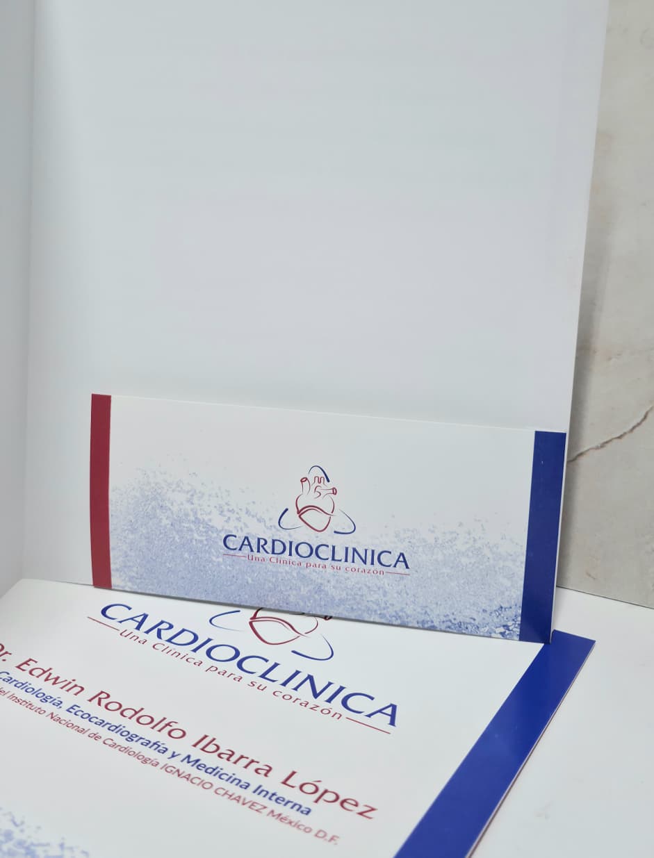 CARPETA CON PESTAÑA tamaño carta 2 colores - Imagen 5