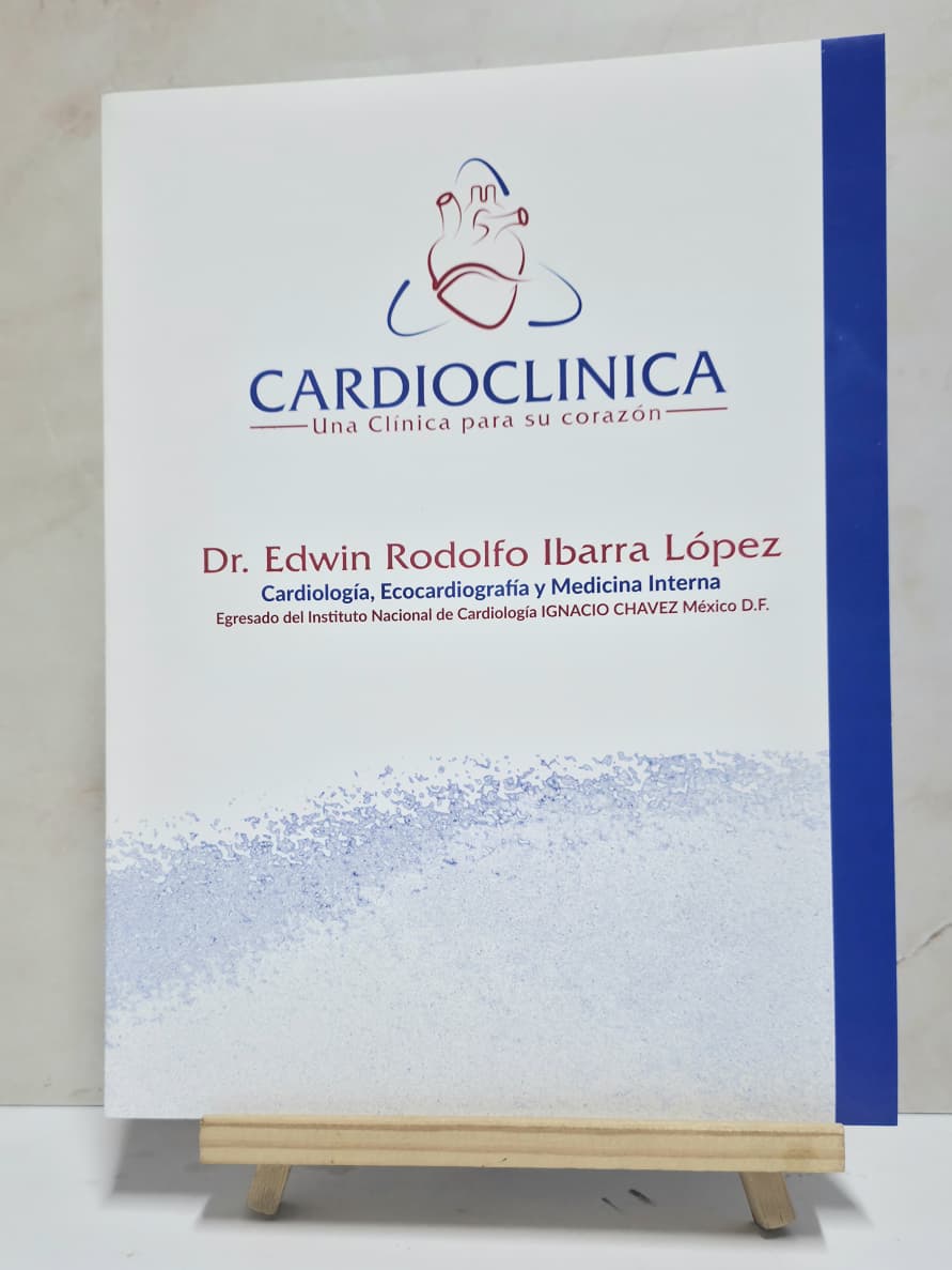 CARPETA CON PESTAÑA tamaño carta 2 colores